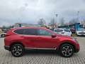 Honda CR-V 1.5 T 4WD Lifestyle AHK, LED Rot - thumbnail 6