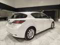 Lexus CT 200h Hybrid Drive Weiß - thumbnail 3