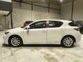 Lexus CT 200h Hybrid Drive Weiß - thumbnail 6