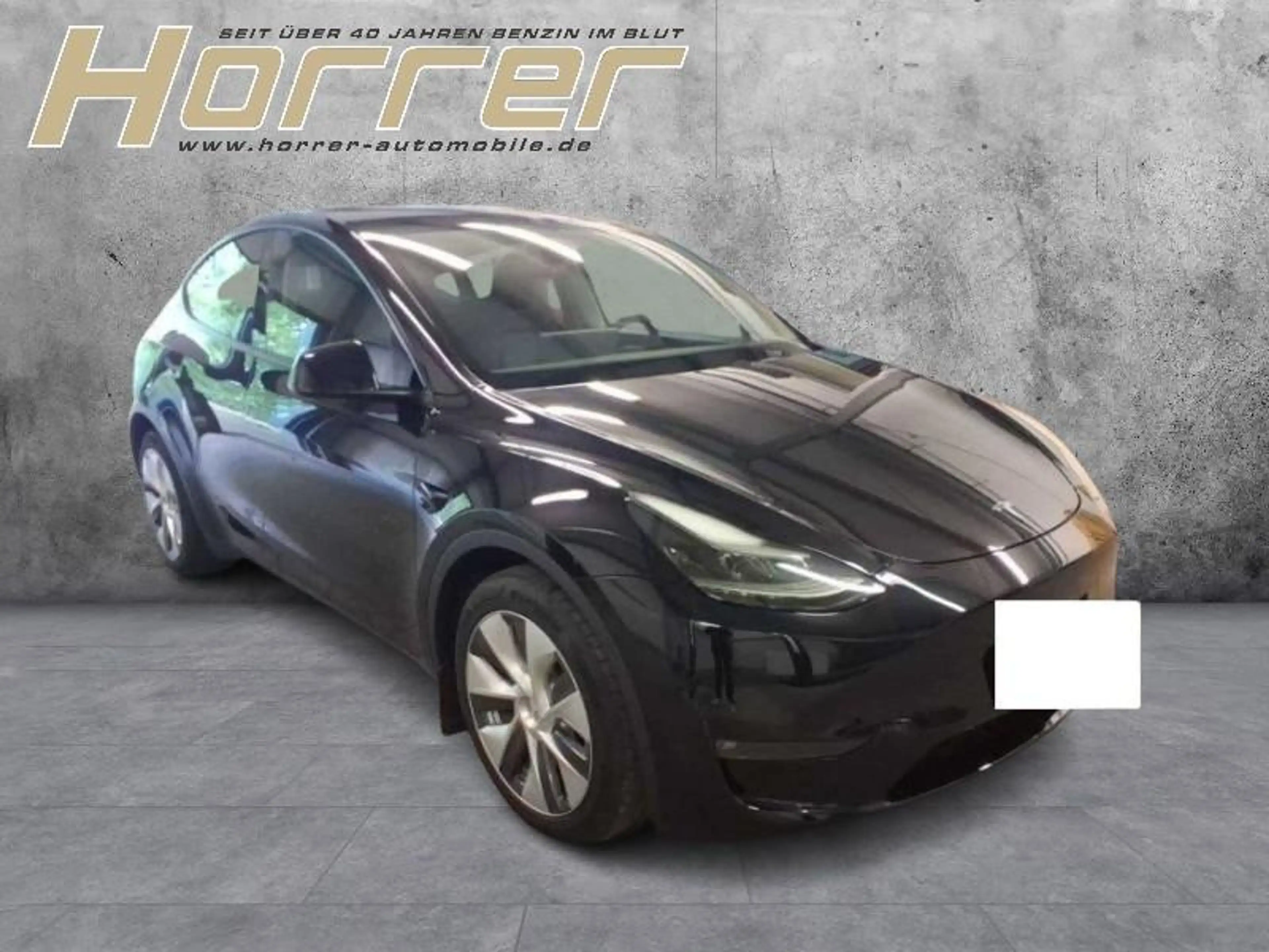 Tesla Model Y Long Range Dual AWD A.pilot Pr. Int.