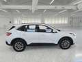 Ford Kuga 1.5 EcoBlue 120CV 2WD Titanium Business Auto - thumbnail 3