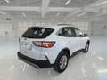 Ford Kuga 1.5 EcoBlue 120CV 2WD Titanium Business Auto - thumbnail 4