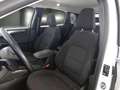 Ford Kuga 1.5 EcoBlue 120CV 2WD Titanium Business Auto - thumbnail 9