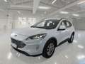 Ford Kuga 1.5 EcoBlue 120CV 2WD Titanium Business Auto - thumbnail 1