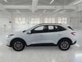Ford Kuga 1.5 EcoBlue 120CV 2WD Titanium Business Auto - thumbnail 5