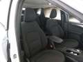 Ford Kuga 1.5 EcoBlue 120CV 2WD Titanium Business Auto - thumbnail 10