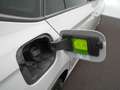 Skoda Kamiq 1.0 TSI Sport Business / Panodak / Climate / Carpl Gris - thumbnail 43