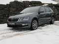 Skoda Octavia Combi Soleil 4x4  1. Hand SmartLink LED Grau - thumbnail 3
