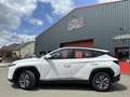 Hyundai TUCSON Executive 1.6 CRDI 136 MHEV TVA 2023 - thumbnail 9