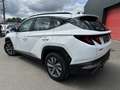 Hyundai TUCSON Executive 1.6 CRDI 136 MHEV TVA 2023 - thumbnail 8