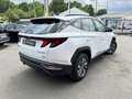 Hyundai TUCSON Executive 1.6 CRDI 136 MHEV TVA 2023 - thumbnail 6