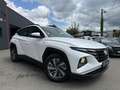 Hyundai TUCSON Executive 1.6 CRDI 136 MHEV TVA 2023 - thumbnail 3