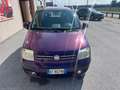 Fiat Panda 1.2 Dynamic Euro 5 CLIMA CITY Paars - thumbnail 2