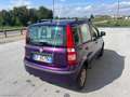 Fiat Panda 1.2 Dynamic Euro 5 CLIMA CITY Paars - thumbnail 4