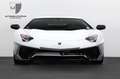 Lamborghini Aventador Aventador SV 1 of 600 FullCarbon/Branding/PPF Blanco - thumbnail 2