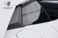 Lamborghini Aventador Aventador SV 1 of 600 FullCarbon/Branding/PPF Blanco - thumbnail 35