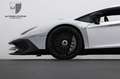 Lamborghini Aventador Aventador SV 1 of 600 FullCarbon/Branding/PPF Blanco - thumbnail 37