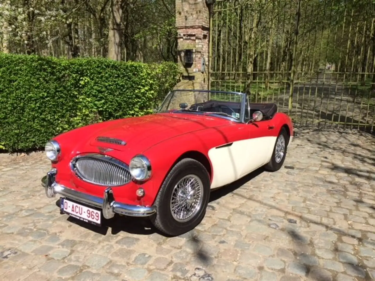 Austin-Healey 3000 MK II a - BJ7 Rojo - 1