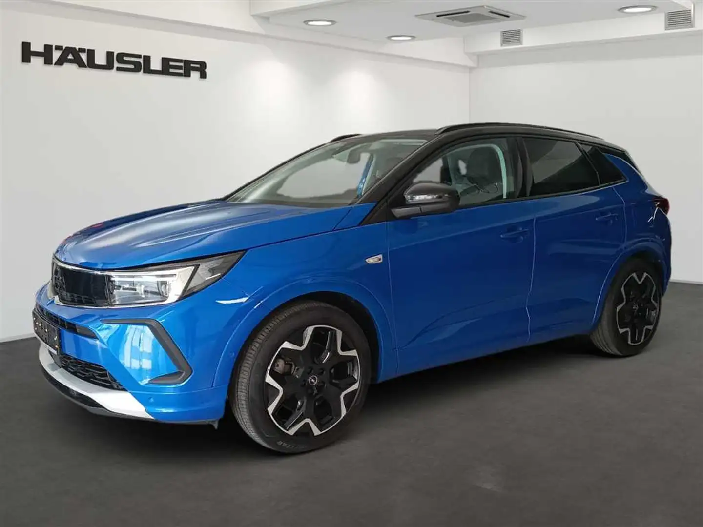 Opel Grandland X Ultimate Hybrid Leder Kamera Navi LED CarPlay Blau - 1