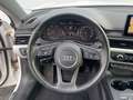 Audi A5 Coupe 35TDI Basis Xenon, Einparkhilfe, Sitzheizung Weiß - thumbnail 5