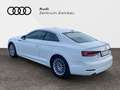 Audi A5 Coupe 35TDI Basis Xenon, Einparkhilfe, Sitzheizung White - thumbnail 3