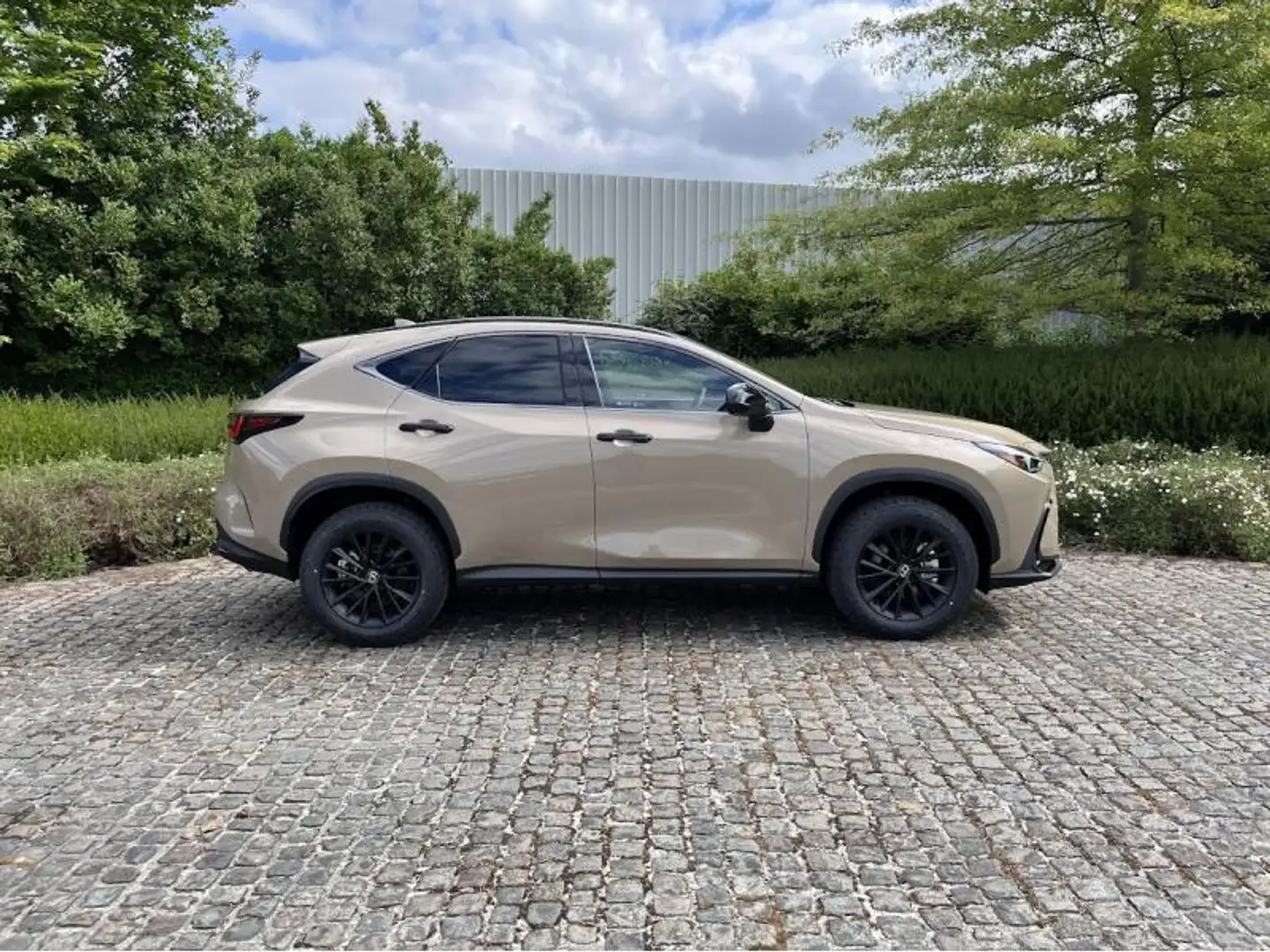 Lexus NX 350h Overtrail E-Four AWD CVT Коричневый - 2