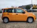 Fiat Panda Base *Hybrid, Klimaanlage* Orange - thumbnail 4