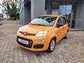 Fiat Panda Base *Hybrid, Klimaanlage* Orange - thumbnail 3