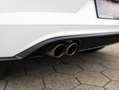 Volkswagen Polo GTI 2.0 TSI Alcantara Beats Camera Lane Blind Spot Wit - thumbnail 11
