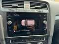 Volkswagen Golf 1.5 tgi Executive 130cv dsg Gris - thumbnail 8