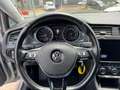Volkswagen Golf 1.5 tgi Executive 130cv dsg Gris - thumbnail 10