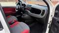 Fiat Panda Panda 1.2 Easy 69cv E6 Bianco - thumbnail 13