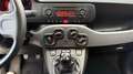 Fiat Panda Panda 1.2 Easy 69cv E6 Bianco - thumbnail 10