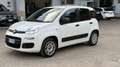 Fiat Panda Panda 1.2 Easy 69cv E6 Bianco - thumbnail 1