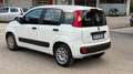 Fiat Panda Panda 1.2 Easy 69cv E6 Bianco - thumbnail 4