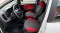 Fiat Panda Panda 1.2 Easy 69cv E6 Bianco - thumbnail 5