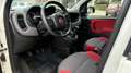 Fiat Panda Panda 1.2 Easy 69cv E6 Bianco - thumbnail 12