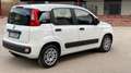 Fiat Panda Panda 1.2 Easy 69cv E6 Bianco - thumbnail 3