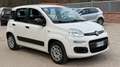Fiat Panda Panda 1.2 Easy 69cv E6 Bianco - thumbnail 2