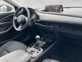 Mazda CX-30 e-Skyactive G140 Homura Rot - thumbnail 22