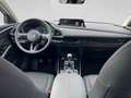 Mazda CX-30 e-Skyactive G140 Homura Rot - thumbnail 20