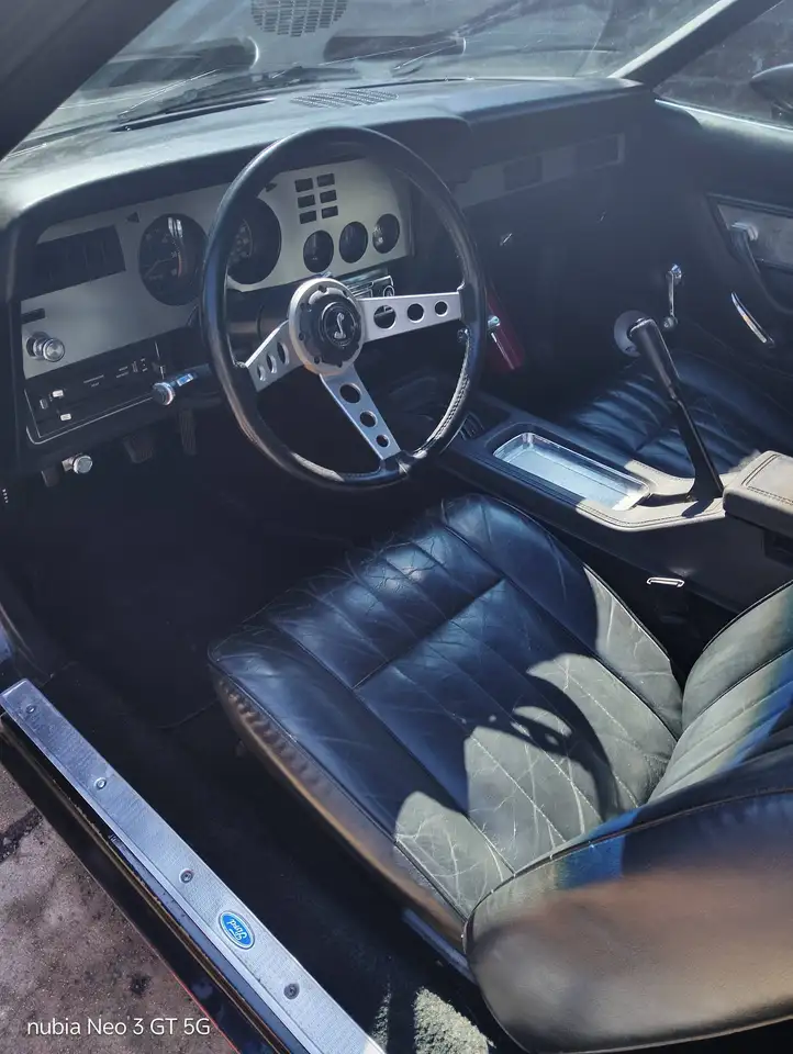 Ford Mustang Cobra 2, foto 6