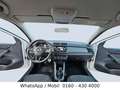 Skoda Fabia Cool Plus Bianco - thumbnail 7