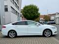 Ford Mondeo Lim. Titanium LED Pano ACC 18" CarPlay Weiß - thumbnail 6