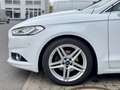 Ford Mondeo Lim. Titanium LED Pano ACC 18" CarPlay Weiß - thumbnail 37