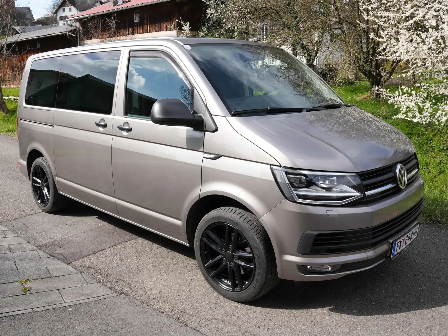 Volkswagen T6 Multivan Grau - 1