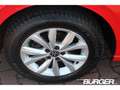 Volkswagen Polo VI Highline 1.0 TSI LED ACC PDC v+h SitzHZG DAB Am Rot - thumbnail 21