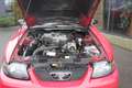 Ford Mustang USA 3.9 V6 Cabriolet ORIGINELE STAAT! Rot - thumbnail 14
