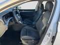 Volkswagen Golf VIII 1.5 eTSI DSG Style Navi AHK CAM LED Weiß - thumbnail 10