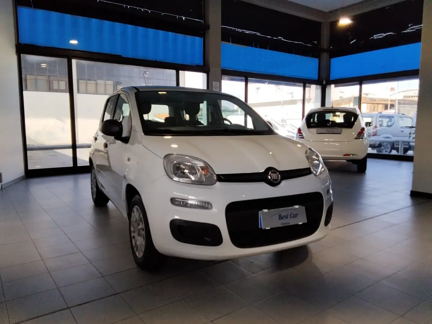 Fiat Panda Panda 1.2 Easy s Blanc - 2